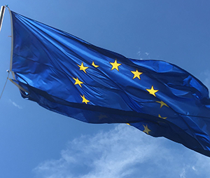  Ecco come appare la bandiera dell'UE. 